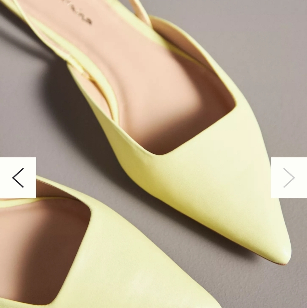 Anthropologie Guilhermina Leather Flats, sz. 8M. New, never worn. Taupe. - Picture 8 of 12
